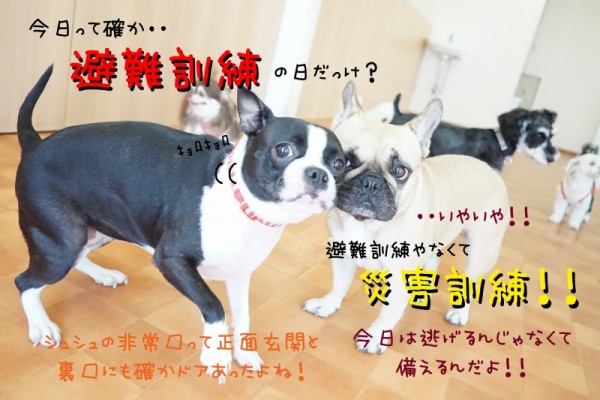 知識はなんぼあってもいい！！