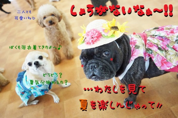 夏はインドアを楽しもう～(￣▽￣)