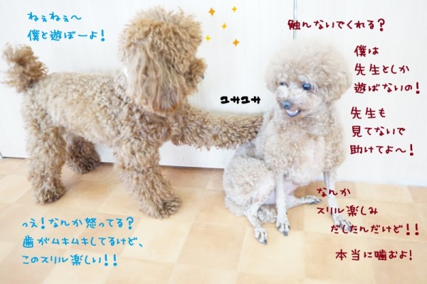 普段からの練習！