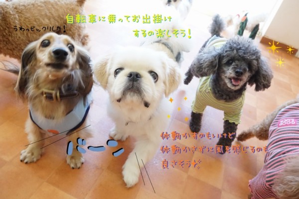 災害訓練最終日(^^ゞ