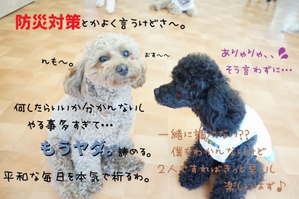 調べて対策を(^^)/