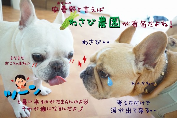 いつかじゃなく今やろう！