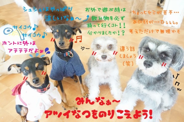 今日で7月はおさらばだぁ～👋