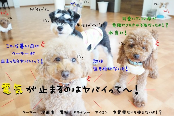 平和な日々に感謝しよう(´▽｀*)