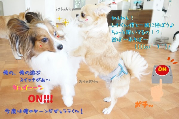 今日もみんな元気いっぱい👊