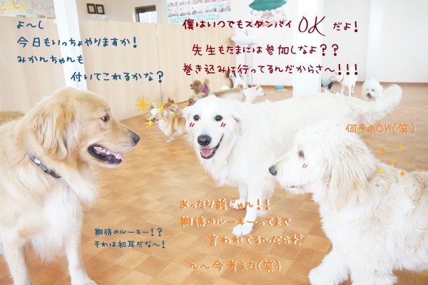 朝からお祭り騒ぎ！？