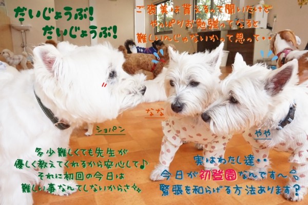 勉強する事の大切さ☆彡