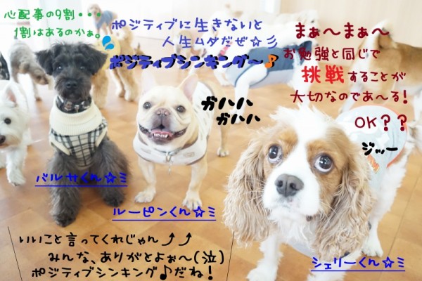 シュシュで色々学びましょう🎶