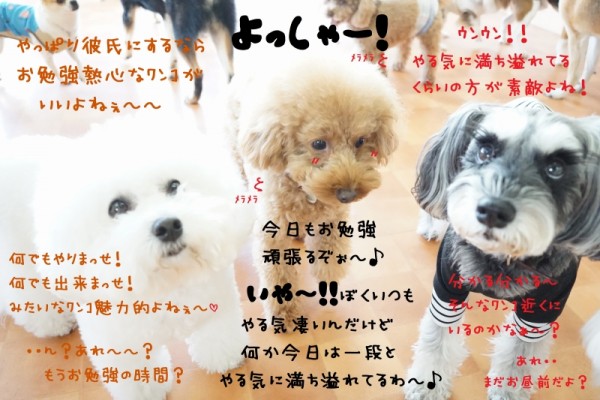 甘えすぎ！甘やかしすぎは注意です！