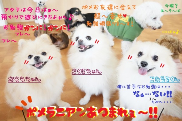 お勉強報告Week最終日で～す❕❕