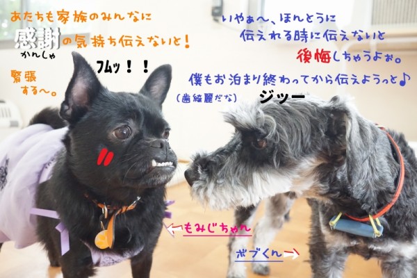 感謝でいっぱいでございます💐