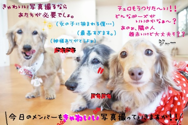 パピー時代とおさらばなのだぁ👋