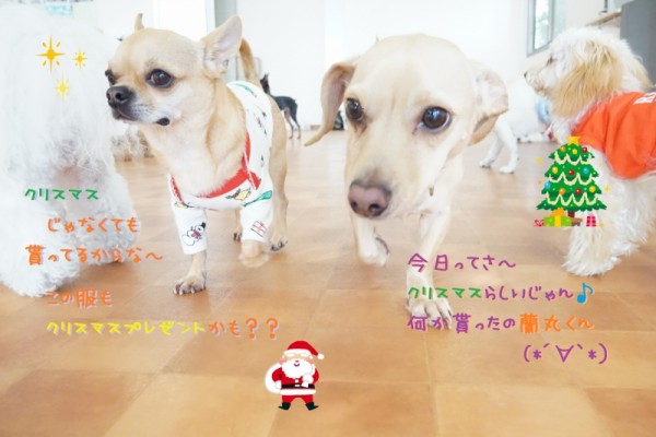 🎅メリ～クリスマス🎄