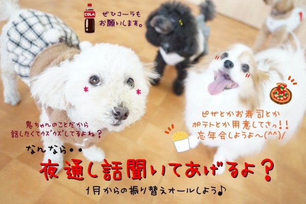 少し早めのご挨拶🙇‍♀️