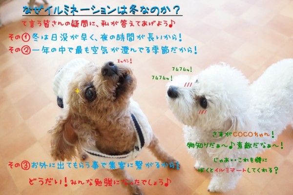 撮影Week最終日🎅