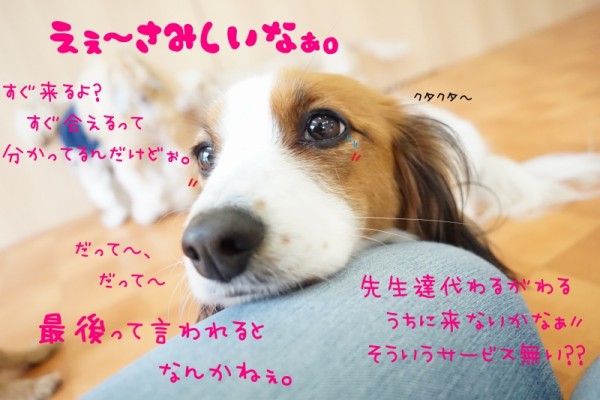 思い出を残して行こう～♪