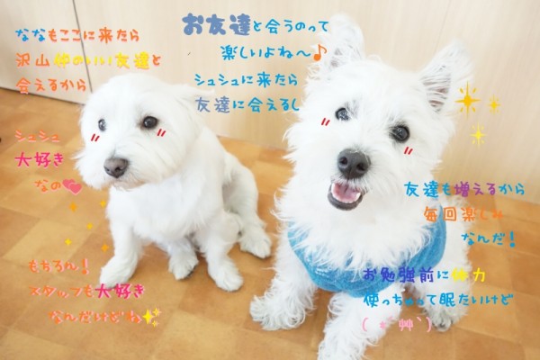 真っ白大集結✨