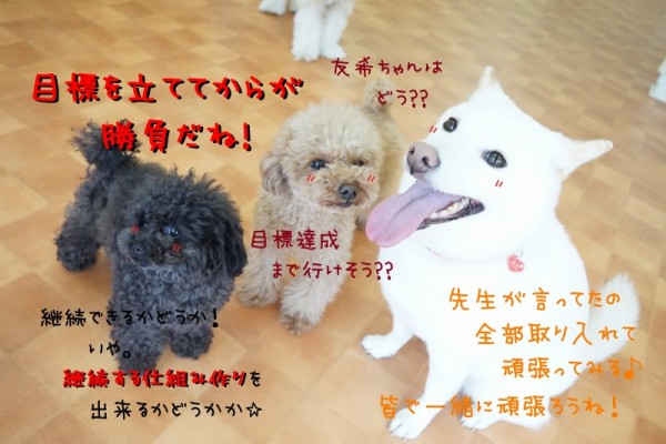 抱負を立てたら何度でも挑戦☆