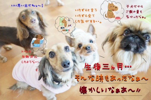 新しい風が吹いてきたぁ～(*^^)v