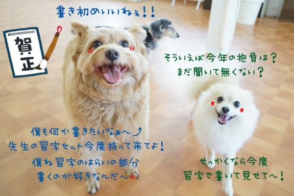 今日の書き初めはこれだ！！