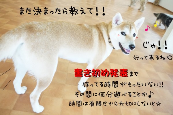 今年の抱負決定🌟