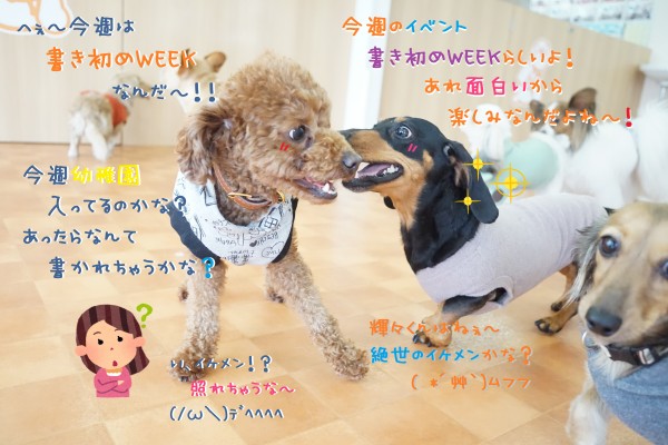 書き初めWEEKスタート🖌