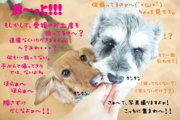 愛媛県に行って参りました❕❕🚙