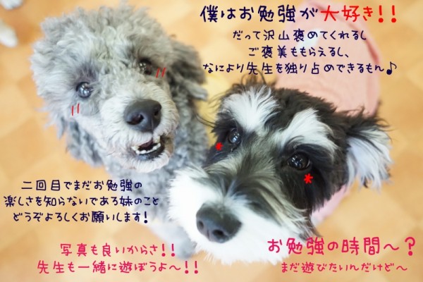 好きこそ物の上手なれ！