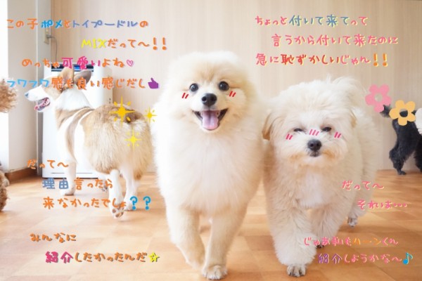 今週も頑張ろう！！