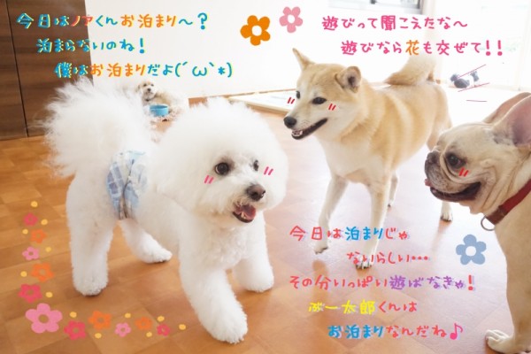 みんなで学ぼう♪