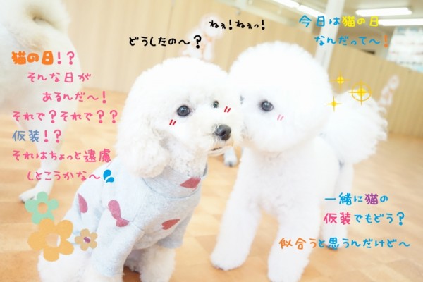 お披露目会(*^^)v