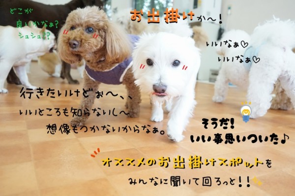 お出掛けシーズンに備えよう🌱