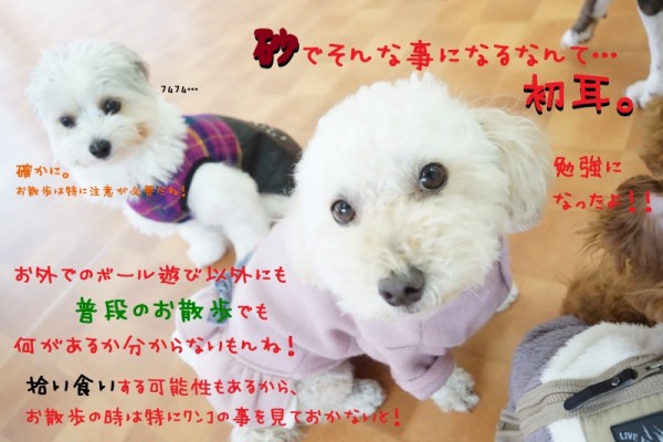 危険はどこに潜んでいるか分からない(:_;)