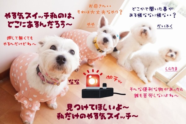 毎日継続する事が大事！