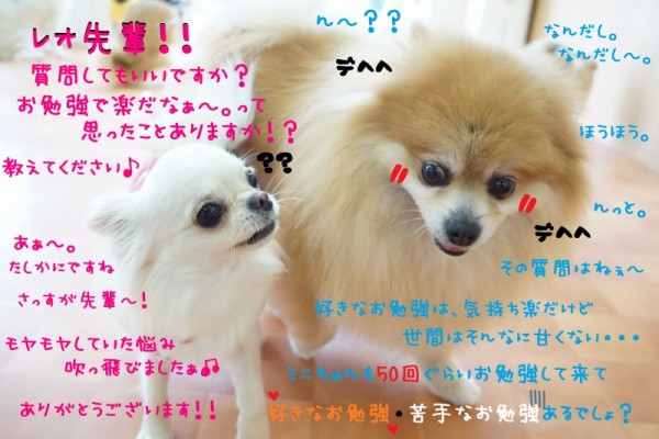 何事にもコツコツと・・・💪🔥