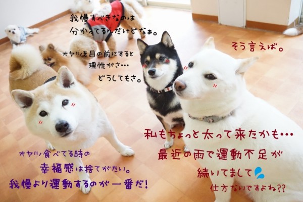 良いものみ～つけた👀✨