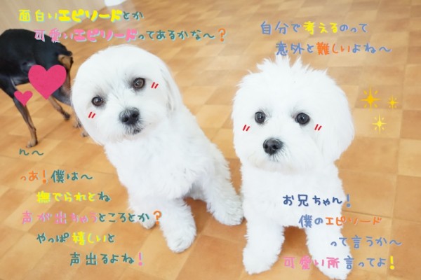 シュシュをかけぬけよう♪