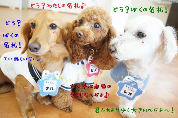 火曜日の集合写真もバッチリ(*^^)v