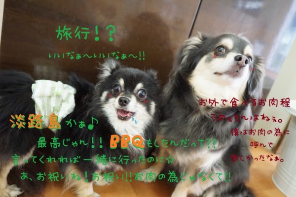 楽しい思い出を作ろう☆彡