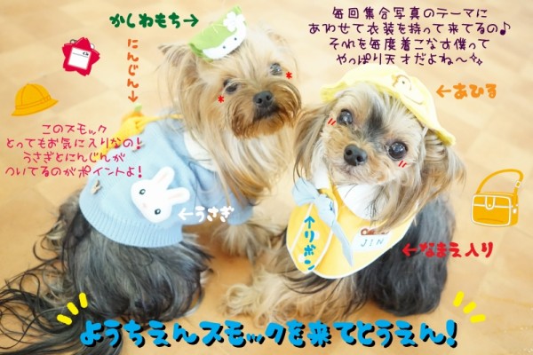 幼稚園生しゅうご～う！！！