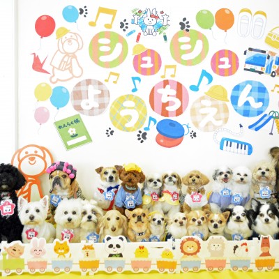 2024 「幼稚園」