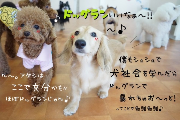 ４月も良い締めくくりを☆彡