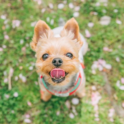 春の撮影会🌸2024年 ①