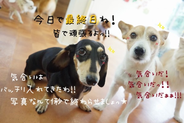 最終日も気合い入れて行くぞぉ～☆