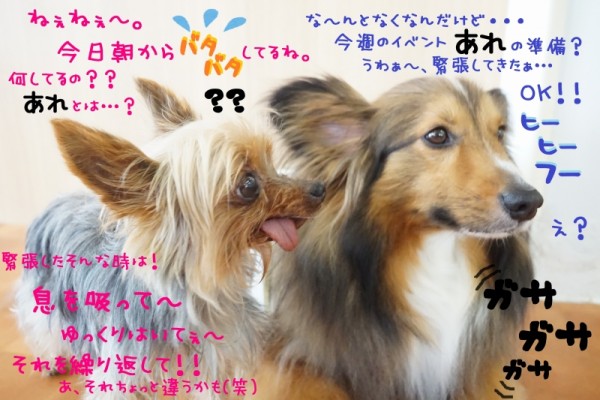 みんな集まれぇぇぇ～((((ｏﾉ´3｀)ﾉ