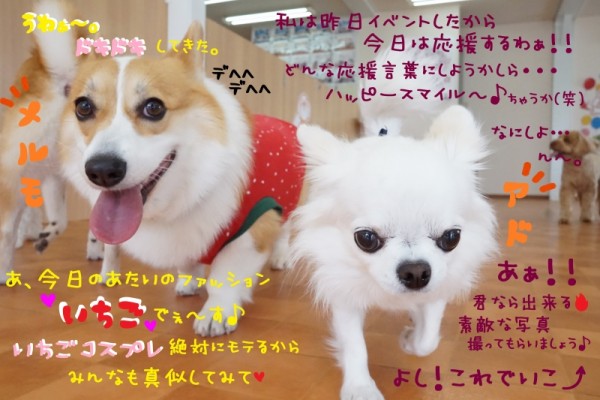 集合写真Ｇｅｔだぜ🌟