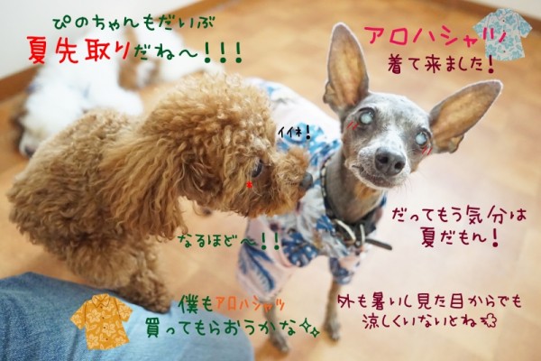 GW２日目も盛り上がってるよ～！