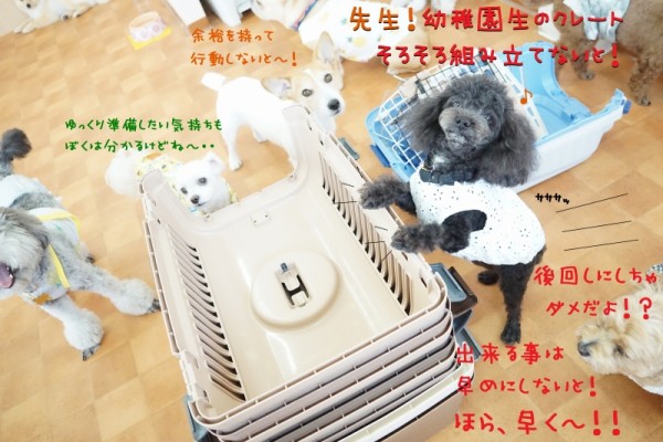 余裕を持って行動しよう(*^^)v