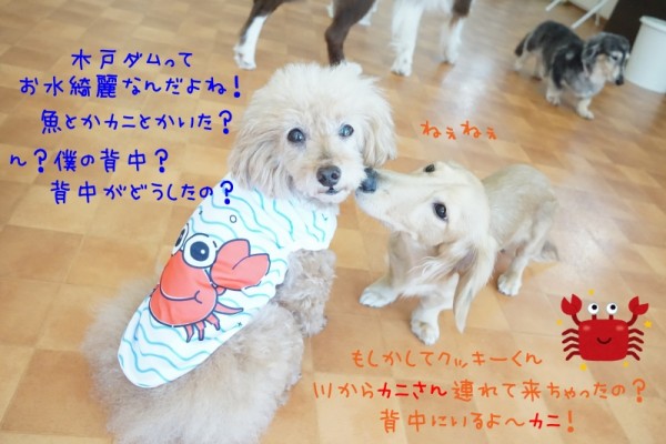 備えあれば患いなし！