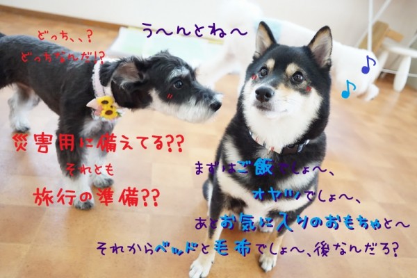 色んな方面で備えましょう✨